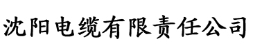 刚有身孕就被影帝离婚了电缆厂logo